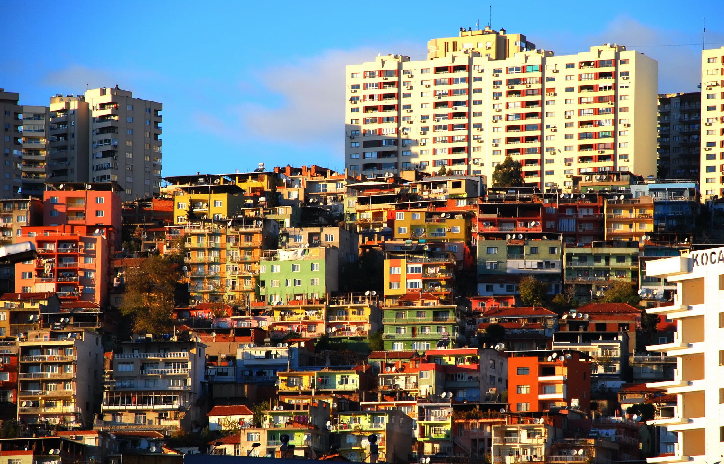 Ülke ve Şehir